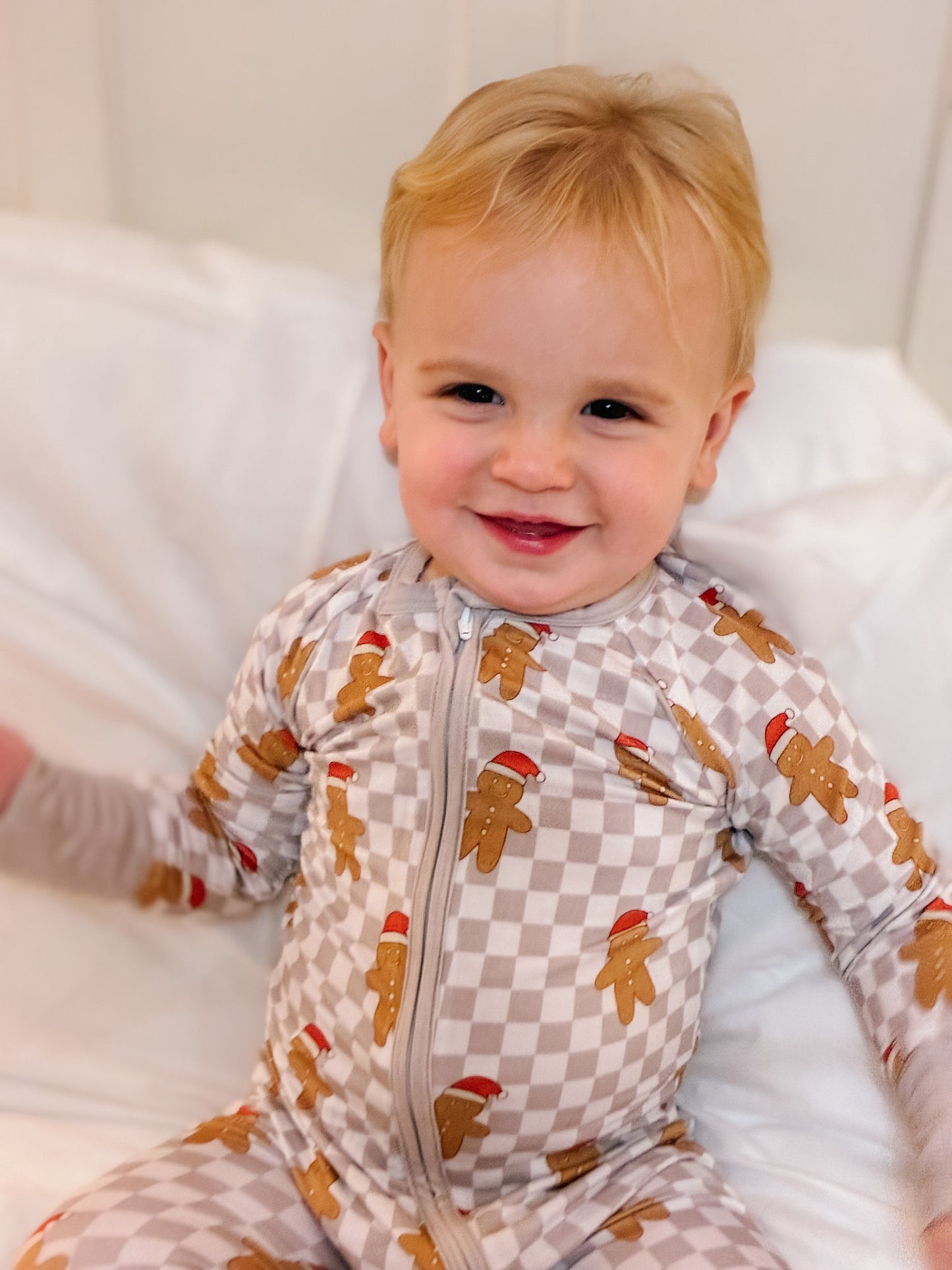 Gingerbread Checks Zip