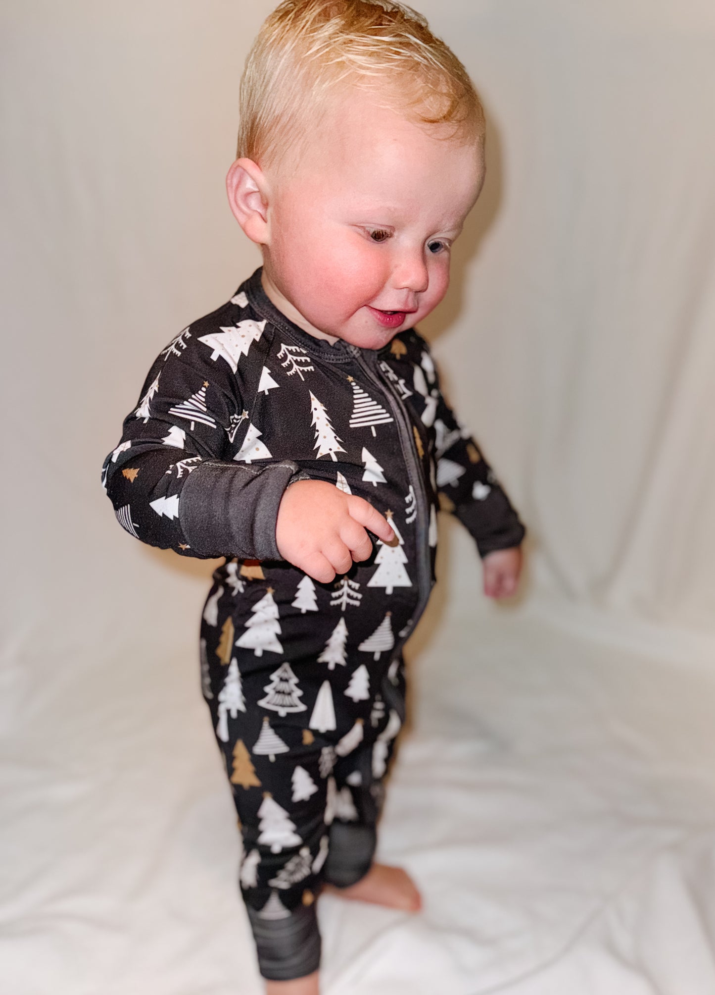 Modern Christmas Zip