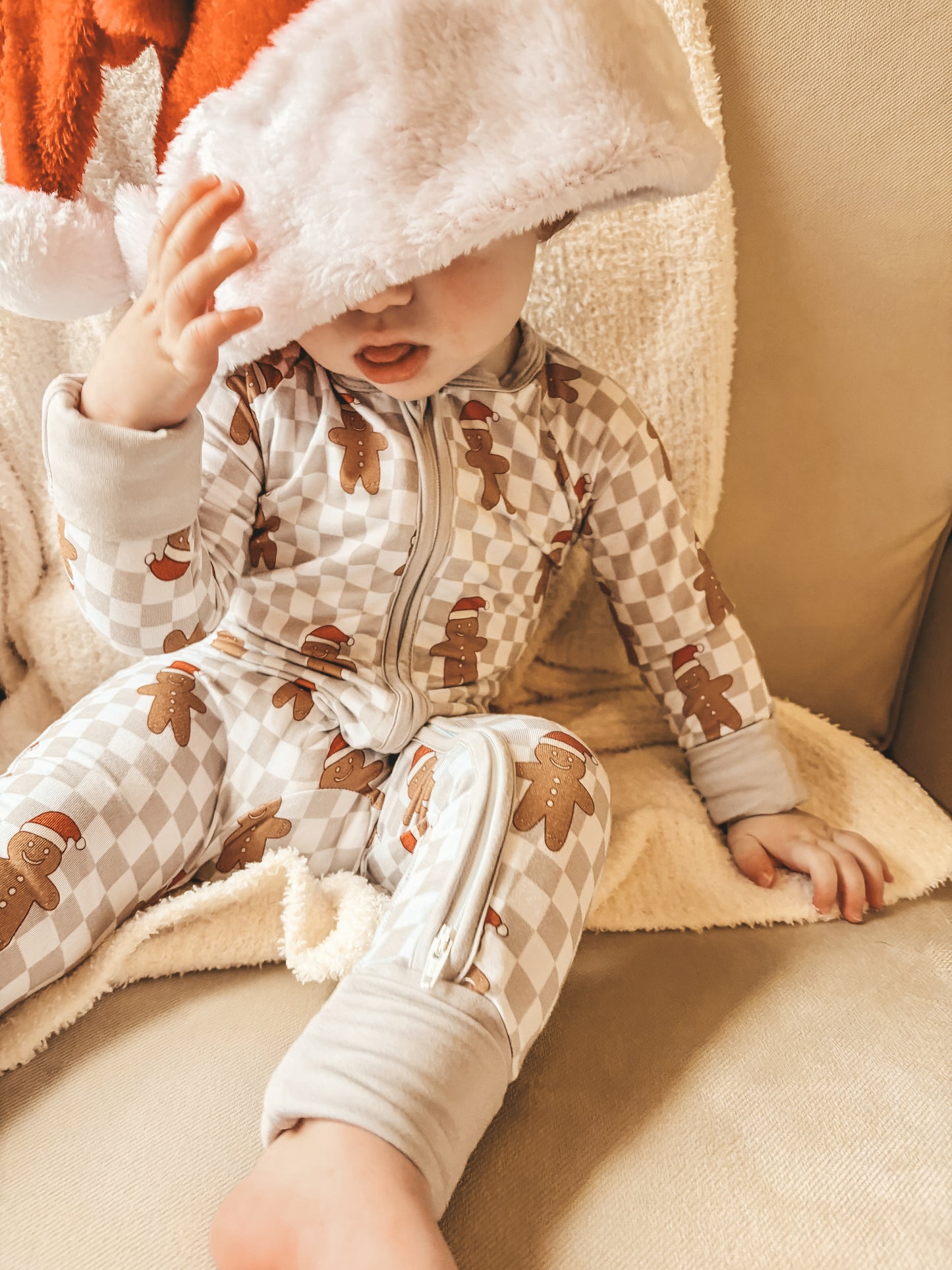 Gingerbread Checks Zip