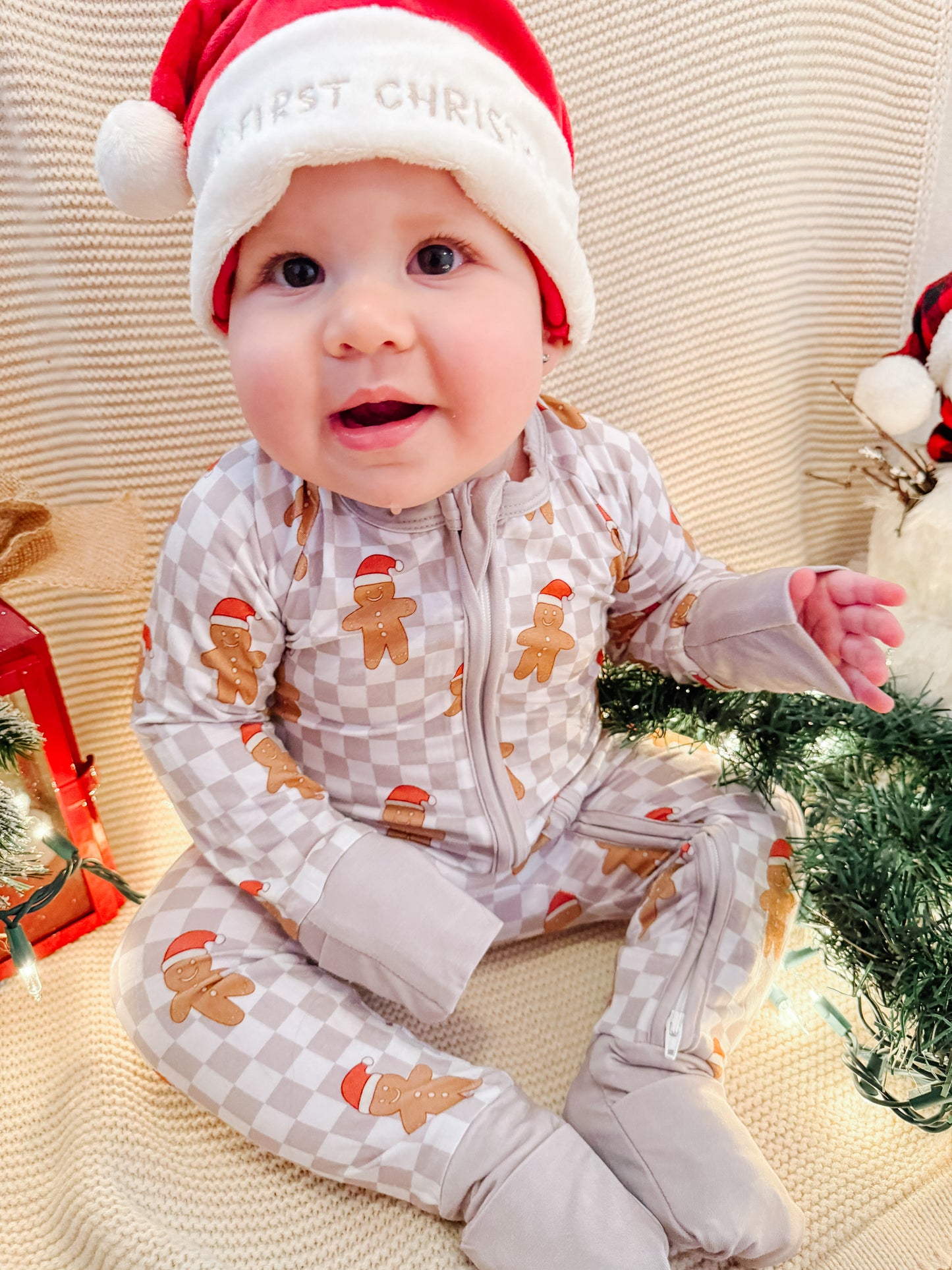 Gingerbread Checks Zip