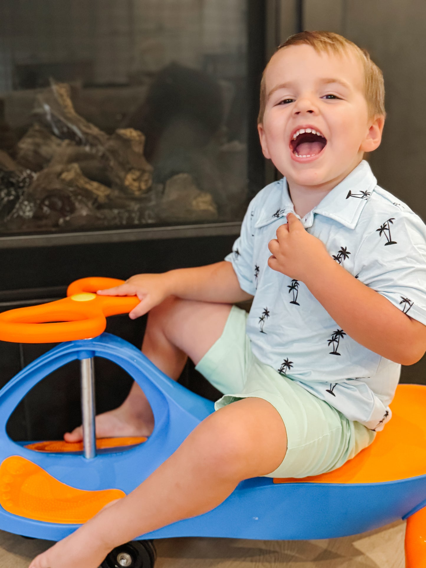 Shoreline Palms Polo